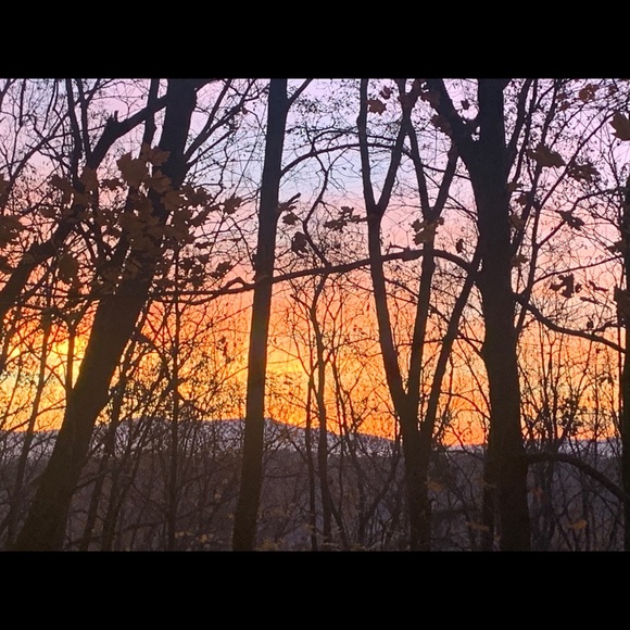 Meet your Posher, Hanna - Picture 10 of 15